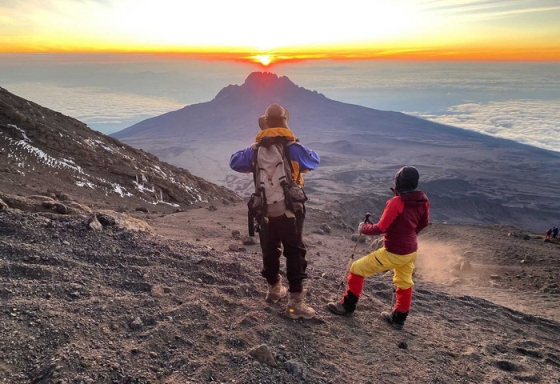 Особенность тура TRVL